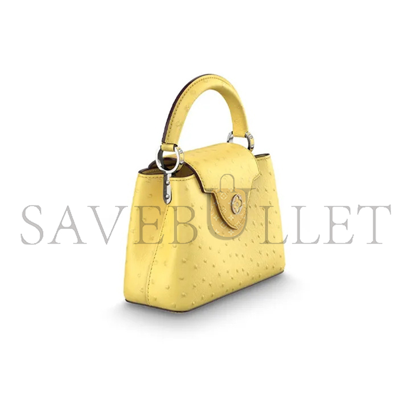 LOUIS VUITTON CAPUCINES MINI M95509 (21*14*8cm)
